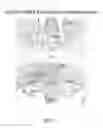 Fig. 09 - Urocortin proteins and uses thereof