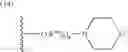 Fig. 976 - Novel compounds that are ERK inhibitors