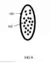 Fig. 09 - Magnetic therapeutic wand, apparatus and method