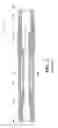 Fig. 03 - Transbronchial needle aspiration device