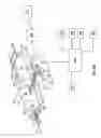 Fig. 19 - Method and apparatus for penetrating tissue