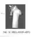 Fig. 03 - Image analysis methods for gleno-humeral joint morphology