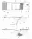Fig. 04 - SHOULDER DISTRACTION SPLINT
