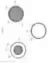 Fig. 08 - Balloon catheter having nanotubes