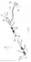 Fig. 02 - Depth probe for intracranial treatment