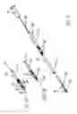 Fig. 03 - Depth probe for intracranial treatment