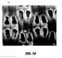 Fig. 05 - Absorbent article having stain resistant properties
