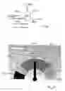 Fig. 13 - Device and method for the treatment of hollow anatomical structures