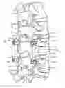 Fig. 01 - Spinal rods having different flexural rigidities about different axes and methods of use