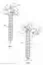 Fig. 02 - Devices and methods for attaching a rod to a vertebral member