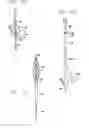 Fig. 09 - FILTER/EMBOLI EXTRACTOR FOR USE IN VARIABLE SIZED BLOOD VESSELS
