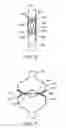 Fig. 10 - MEMBRANE EYELET