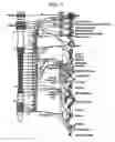 Fig. 02 - Methods and apparatus for treating anaphylaxis using electrical modulation