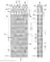 Fig. 03 - Stent pattern for high stent retention