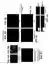 Fig. 05 - MEDICAL DEVICE WITH COATING FOR CAPTURING GENETICALLY-ALTERED CELLS AND METHODS FOR USING SAME