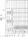 Fig. 09 - Conversational speech analysis method, and conversational speech analyzer