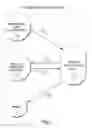 Fig. 02 - Clinical decision support system