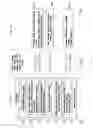 Fig. 03 - Search, transfer, and booking tool for multiple rewards programs