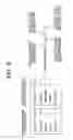 Fig. 09 - Processing apparatus and associated methodology for keyword extraction and matching