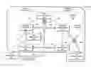 Fig. 01 - Reliable Delivery of Multi-Cast Conferencing Data