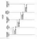 Fig. 07 - Download method and transmission device using the same