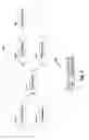 Fig. 05 - Request processing order in a cache