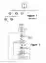 Fig. 02 - Method and apparatus for securing the privacy of sensitive information in a data-handling system