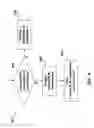 Fig. 05 - Secure caching technique for shared distributed caches