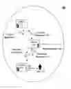 Fig. 01 - Restricting devices utilizing a device-to-server heartbeat