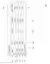 Fig. 02 - Information display for disparate data sets