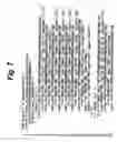Fig. 08 - Information process apparatus and method, record medium, and program