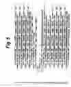 Fig. 09 - Information process apparatus and method, record medium, and program