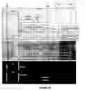Fig. 29 - System and method for creating, distributing, and executing rich multimedia applications
