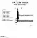 Fig. 04 - Clarification of transgenic milk using depth filtration