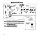 Fig. 07 - Clarification of transgenic milk using depth filtration