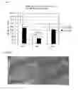 Fig. 08 - Transgenic non-human mammal