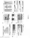 Fig. 02 - Horming response element binding transregulators