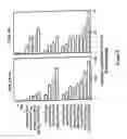 Fig. 04 - Horming response element binding transregulators