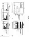 Fig. 07 - Horming response element binding transregulators