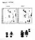 Fig. 06 - TAT-039 and methods of assessing and treating cancer