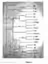 Fig. 02 - Methods for breeding plants