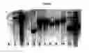 Fig. 04 - Transformation and regeneration of plants