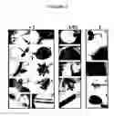 Fig. 03 - COX5c-1 gene intron for increasing expression level in cassettes, plant cells and transgenic plants