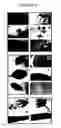 Fig. 05 - COX5c-1 gene intron for increasing expression level in cassettes, plant cells and transgenic plants