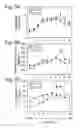 Fig. 06 - Engineering single-gene-controlled staygreen potential into plants