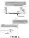 Fig. 19 - Flowering inhibition