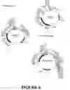 Fig. 21 - Flowering inhibition