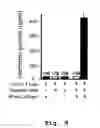 Fig. 10 - Edible vaccines expressed in soybeans