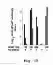 Fig. 11 - Edible vaccines expressed in soybeans