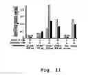 Fig. 12 - Edible vaccines expressed in soybeans
